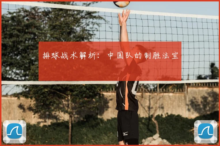 排球战术解析：中国队的制胜法宝