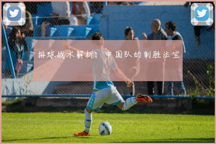 排球战术解析：中国队的制胜法宝